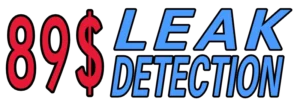 89$ Leak Detection
